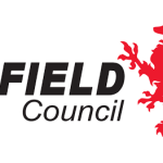 Einfield-Council